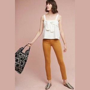 Anthropologie Rust Tencel Skinny Pant Size 30